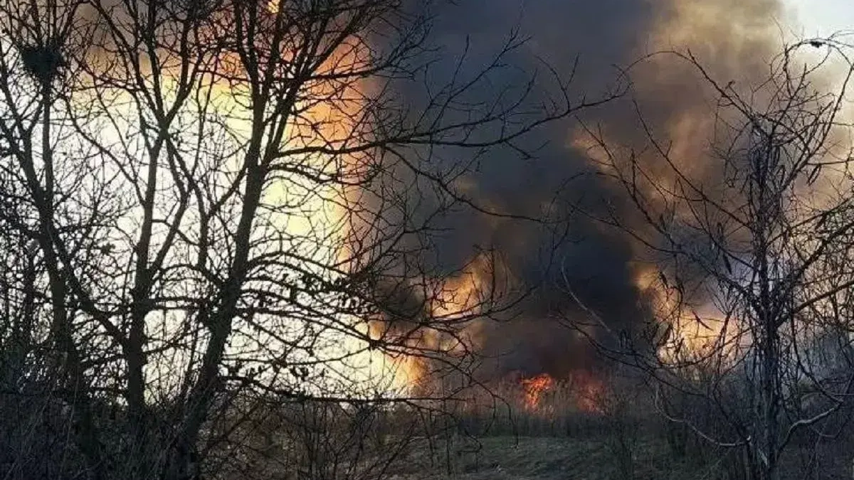 Пожар площадью 5,8 га потушили ночью в Горячеключевском лесничестве