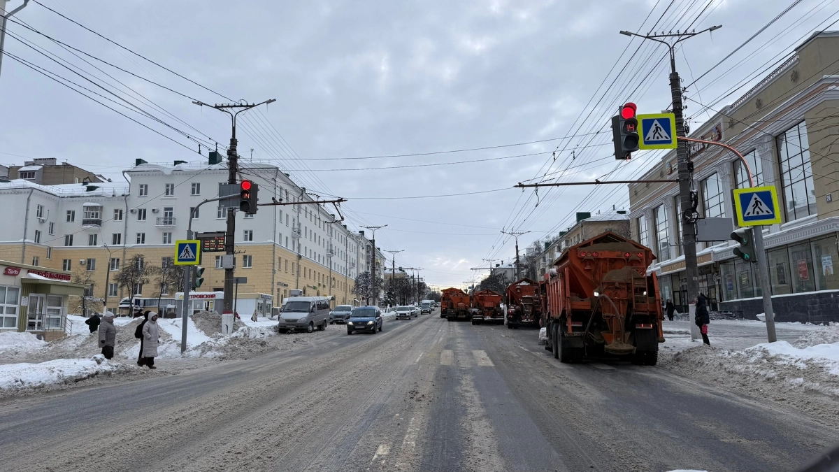 Мошенники атакуют водителей: как отличить настоящий сайт оплаты от фальшивого — важные правила