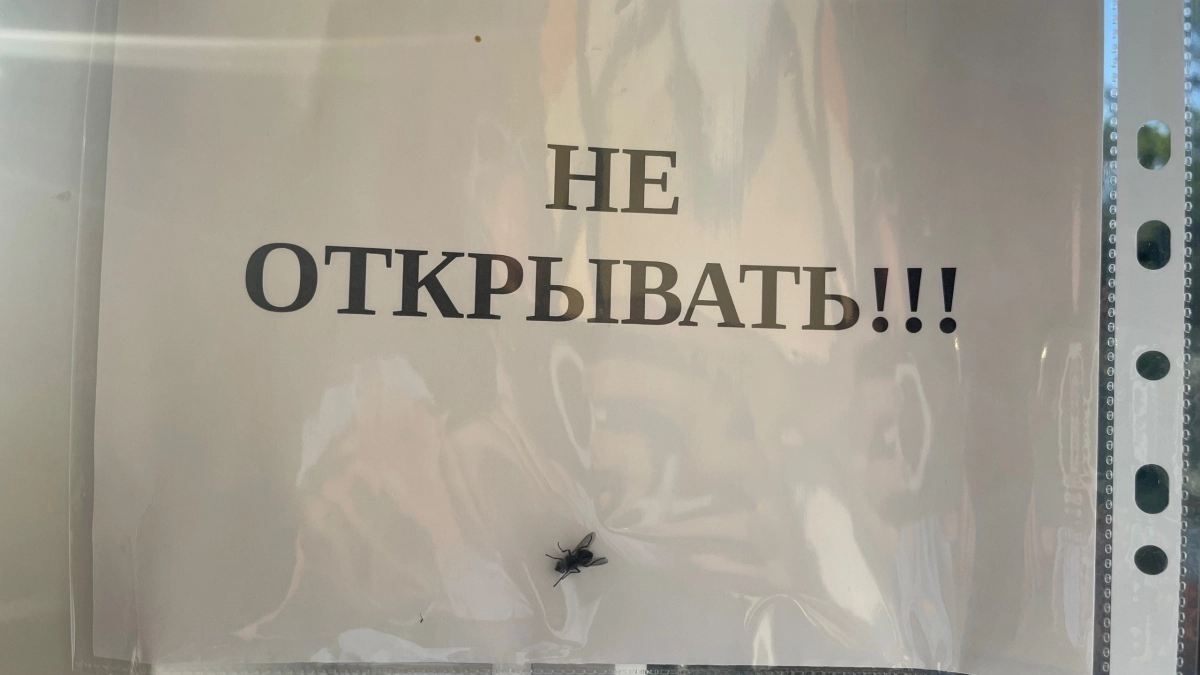 Странный предмет у окна и мухи исчезли: как отпугнуть мух с помощью обычных монет и пакета — работает на 100 %