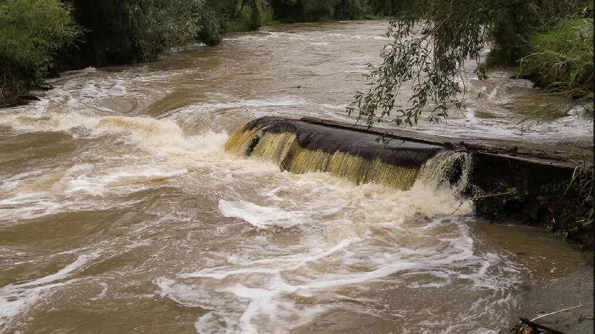 300 датчиков на реках Кубани отслеживают уровень воды каждые 10 минут
