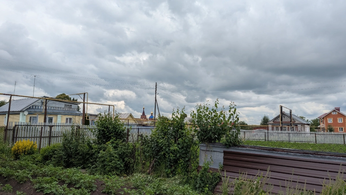 Спички в огороде — не мусор, а суперсредство: как копеечный лайфхак защитит рассаду от болезней и вредителей