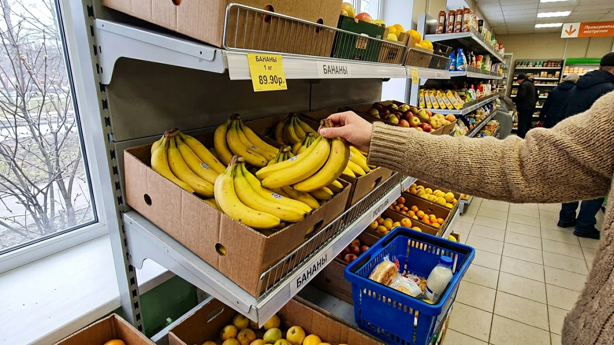 На Кубани вступили в силу стандарты на бананы, дороги и кормление голубей