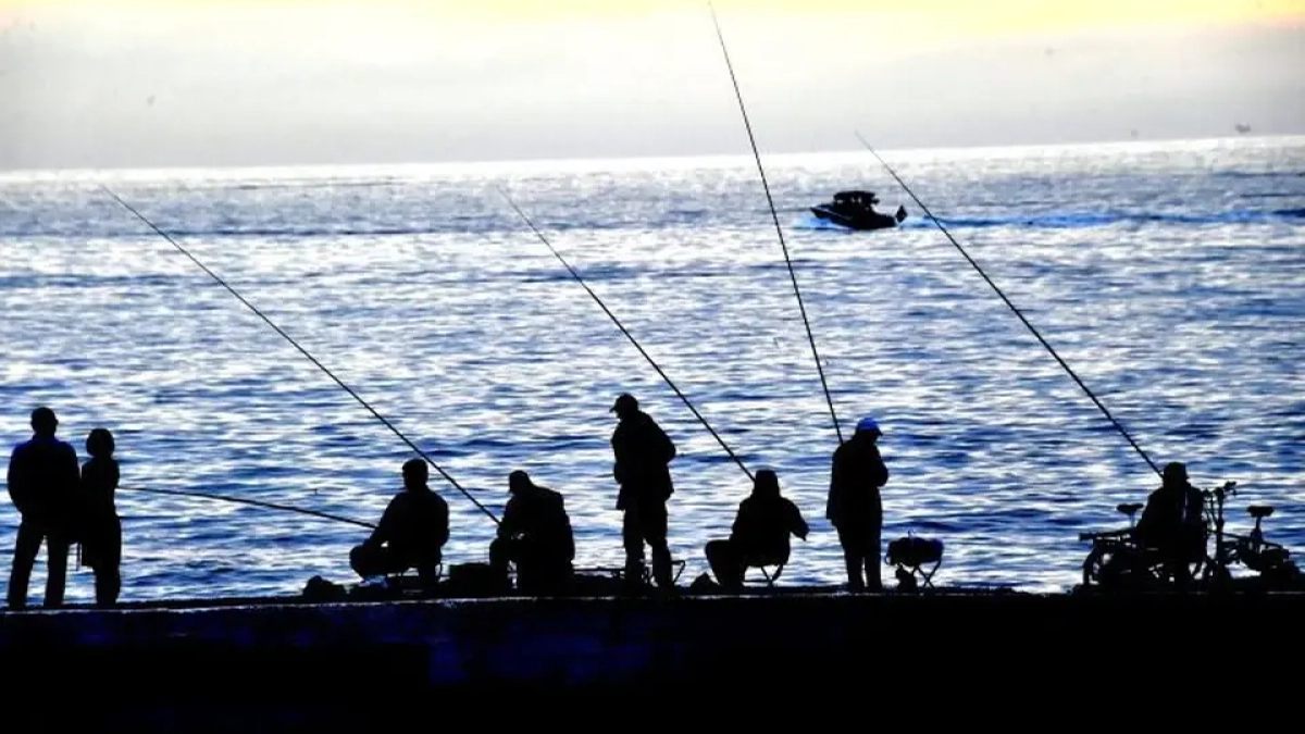 В портах Новороссийска запретили ловлю кефали до конца апреля