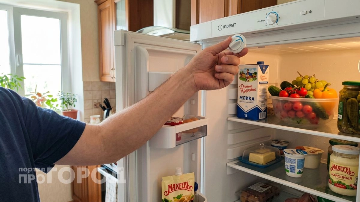 Свекровь прожила у нас неделю и показала три вещи, которые я делала с холодильником не так