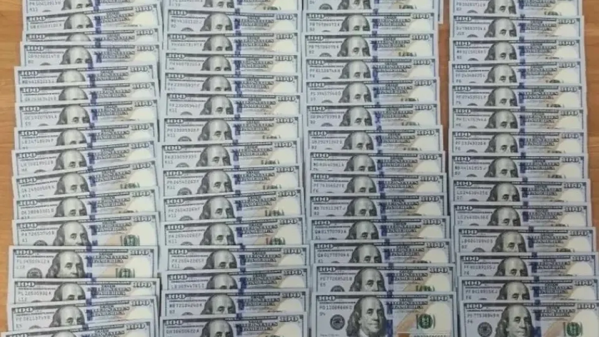 Пассажир из Стамбула спрятал $25 тысяч в чемодане и лишился части суммы