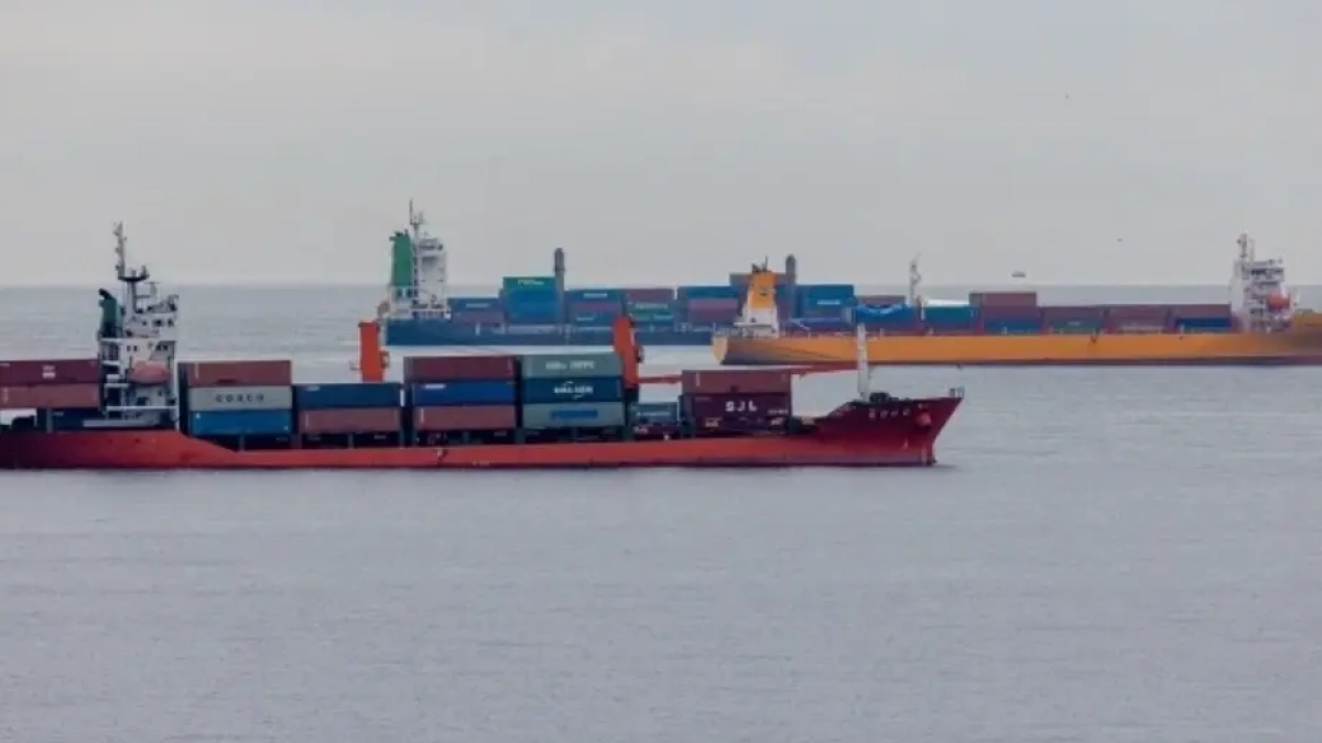 Порт Новороссийска достиг критической загруженности: суда ждут разгрузки почти неделю