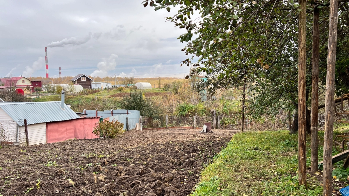 Удобрение гниет прямо под ногами: как превратить мусор в «чёрное золото» для огорода