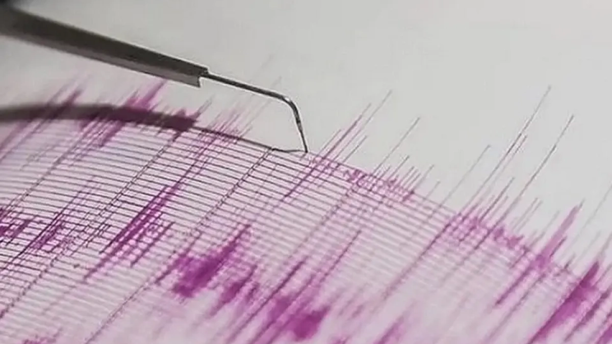 Учёный РАН: турецкое землетрясение 2023 года могло разбудить разломы у Сочи