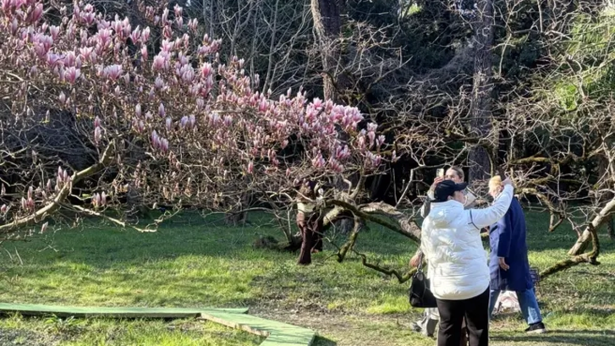 Мусор, сирены и цены: чего ждать от курортного сезона в Сочи — 2026