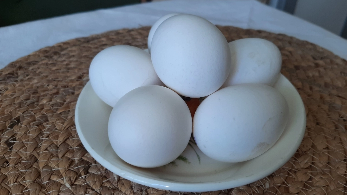 Эту ошибку совершают все на Пасху: опасный лайфхак с яйцами, который портит вкус и открывает путь бактериям