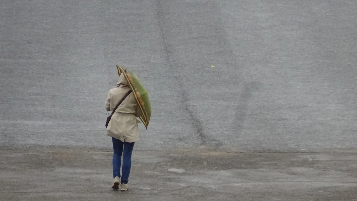 Погода сходит с ума: весна наступает на месяц раньше срока — что происходит