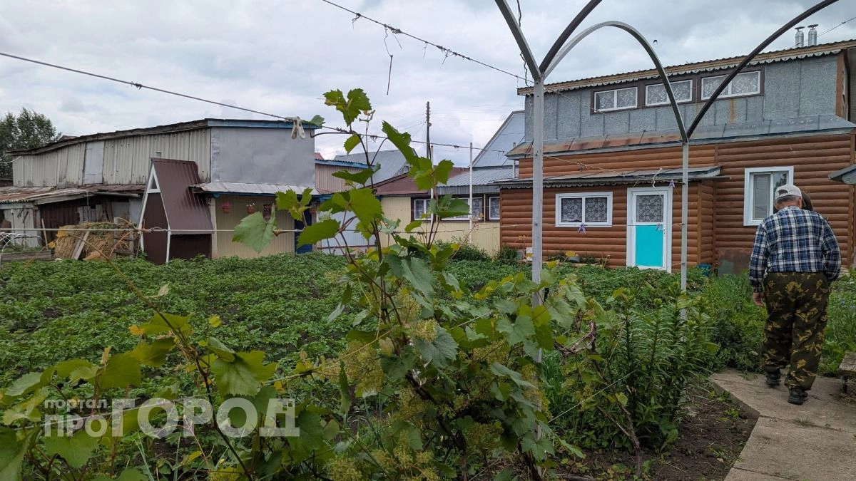 Сколько стоит купить дачу в Краснодарском крае этой весной