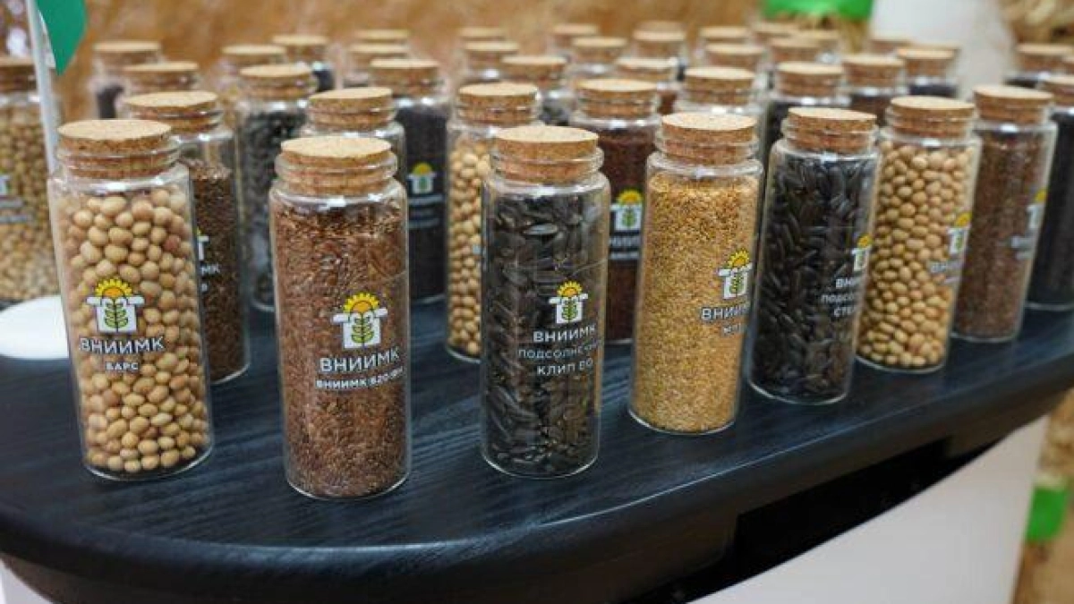 Кубань вложит 580 млн рублей в селекцию и семеноводство в 2026 году