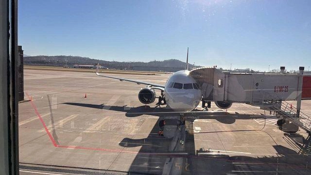 Прямой рейс Пекин — Сочи: авиакомпании ведут переговоры на фоне туристического интереса