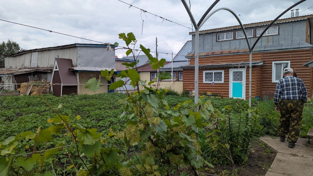 Забудьте про навоз: эта смесь сделает почву плодородной — секрет опытных огородников