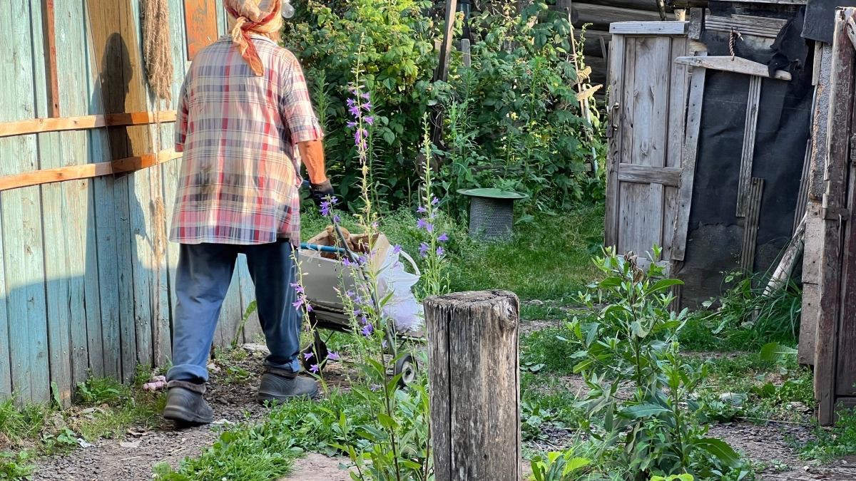 Обычный забор больше не в моде: серое ограждение превратилось в зелёный рай — как мы за выходные сделали клумбу с туями