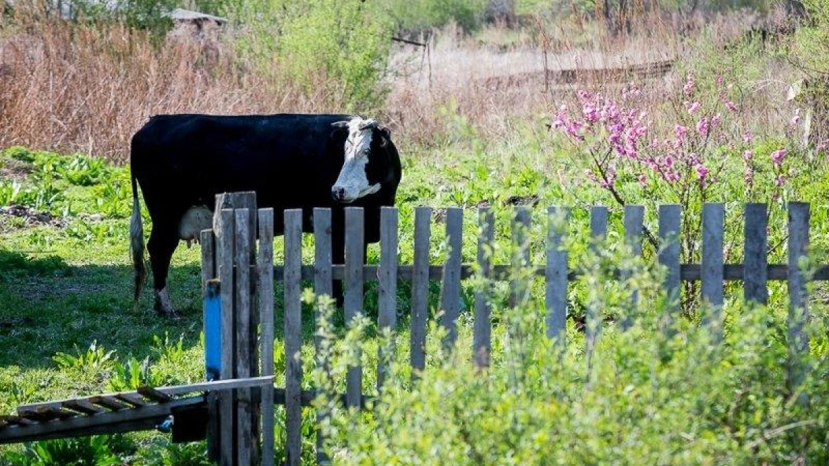 Хутор «Весёлая жизнь» с Кубани попал в рейтинг смешных названий Росреестра