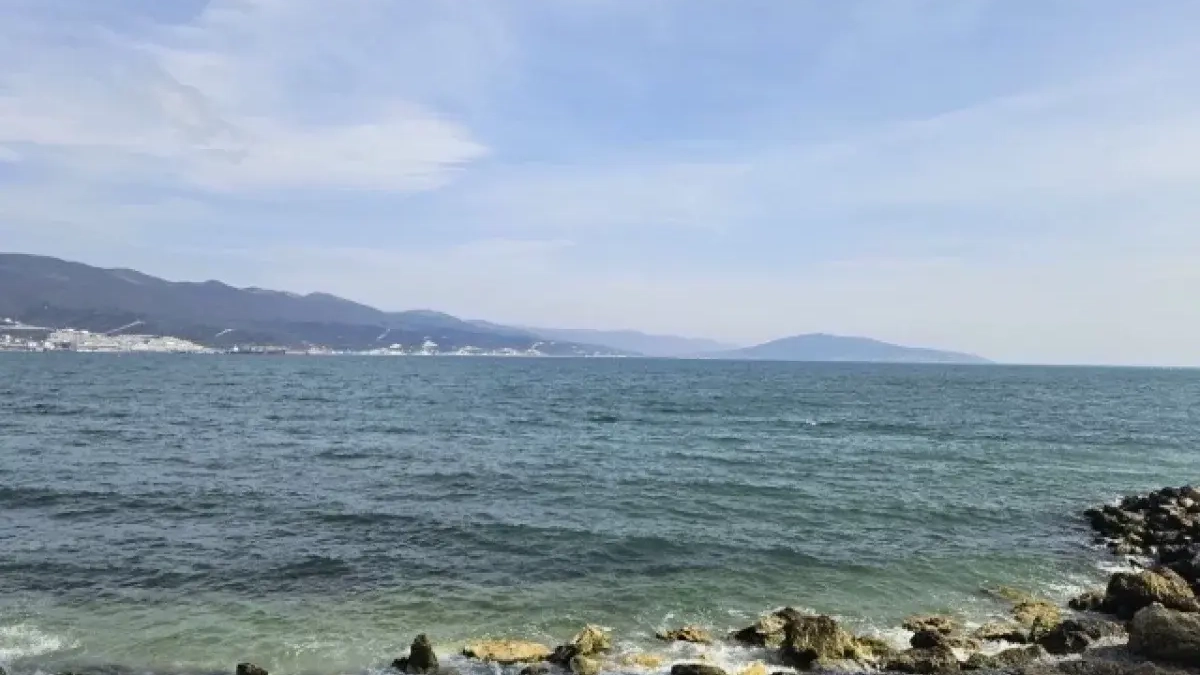 ПВО отработала в Новороссийске: сирены звучали из-за угрозы БПЛА