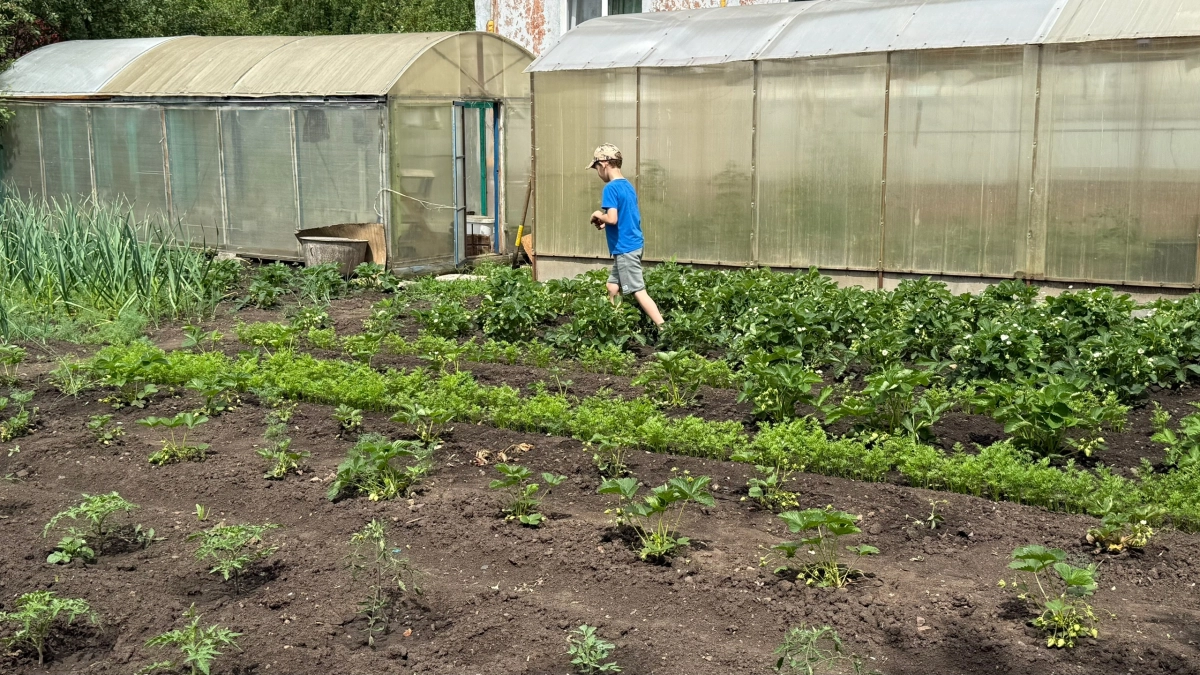 Почему миллионы россиян каждые выходные стоят в позе „зю“: секрет дачной магии, заложенный ещё в СССР