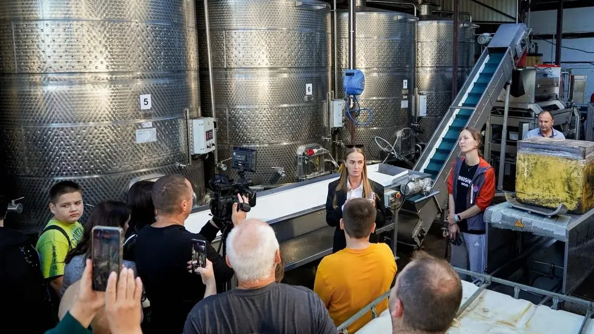 Винный туризм на Кубани: 750 тыс. гостей за год посетили 35 виноделен