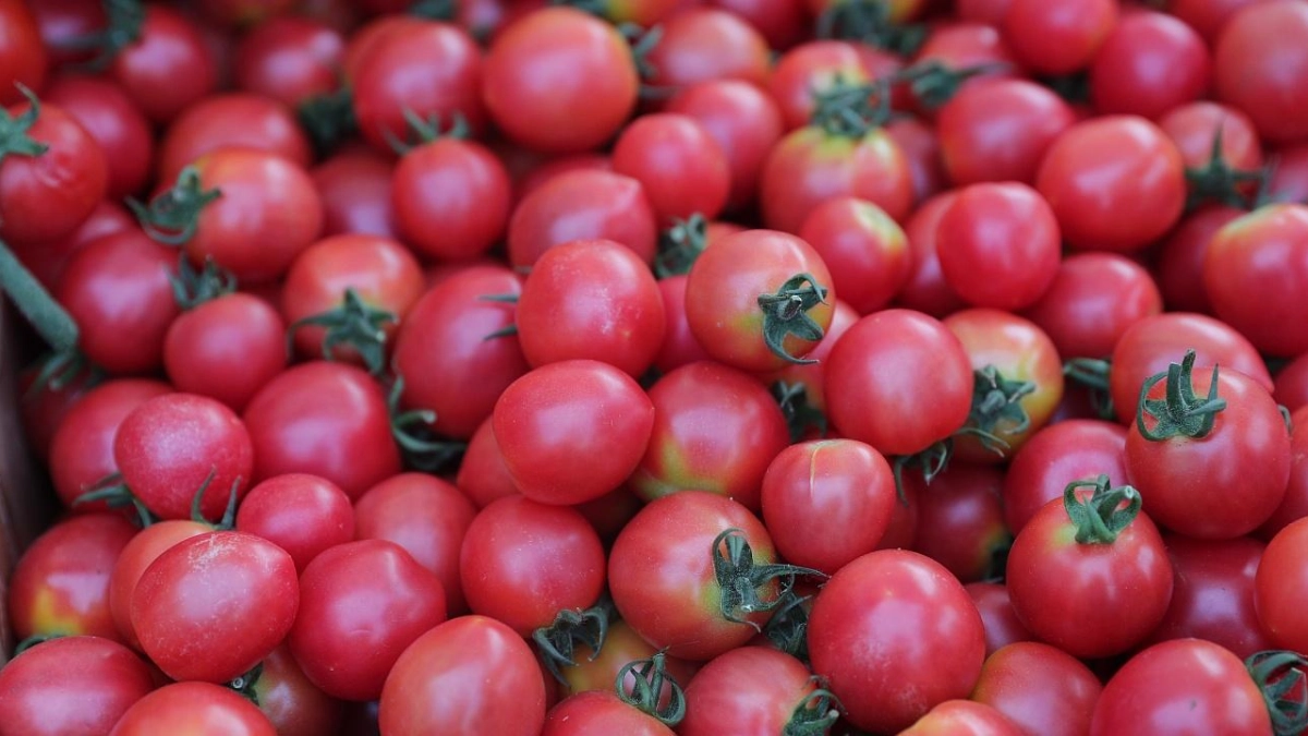 В Краснодаре 4 апреля откроются восемь ярмарок выходного дня