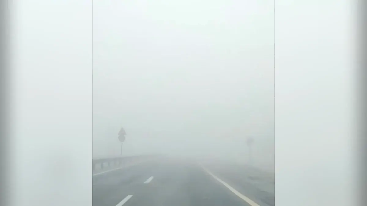 Густой туман в Новороссийске: ГИБДД просит водителей снизить скорость