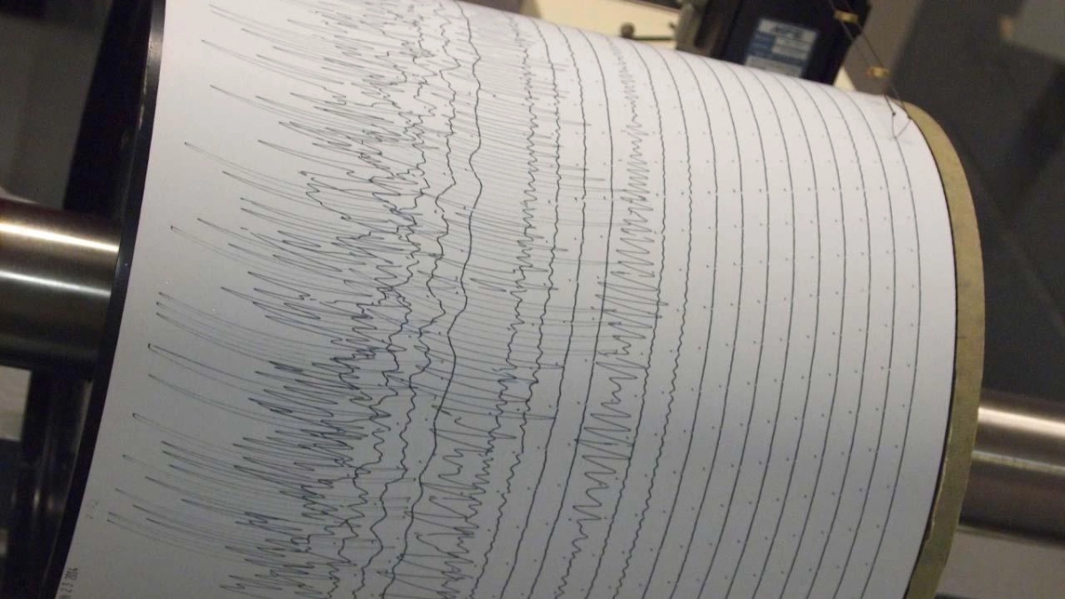 Землетрясение магнитудой 3,7 у Новороссийска: толчки ощутили жители нескольких районов