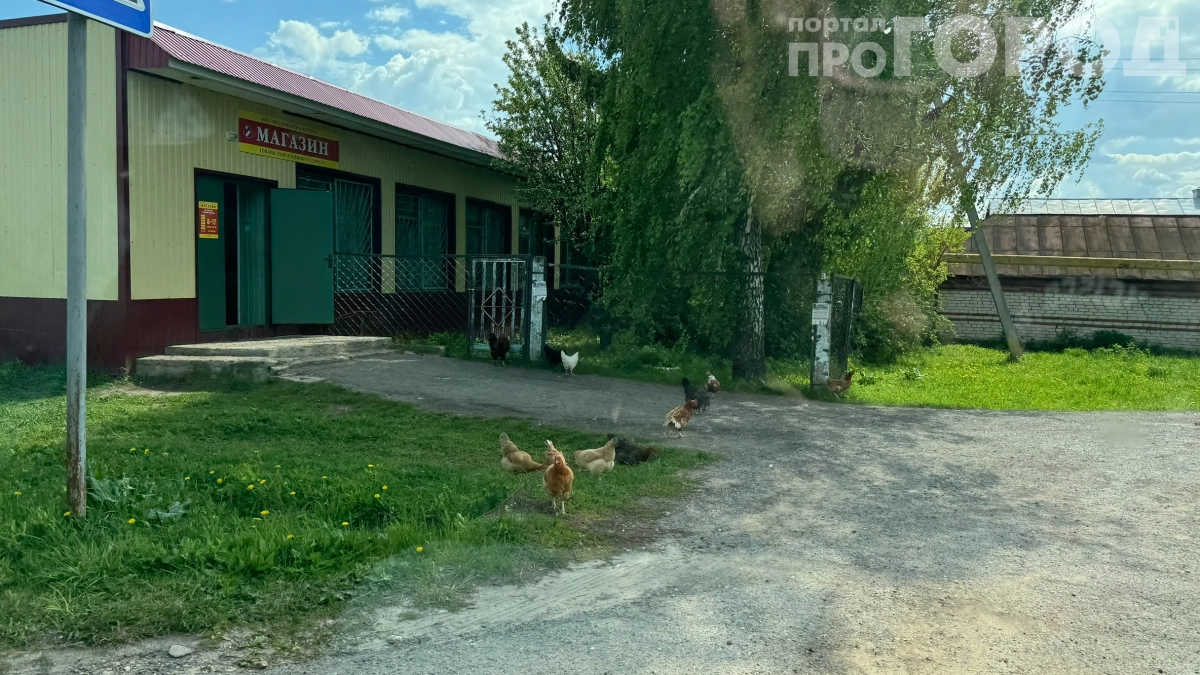 Один сбежал в панике, второй обрёл смысл жизни: жуткая правда о переезде в деревню