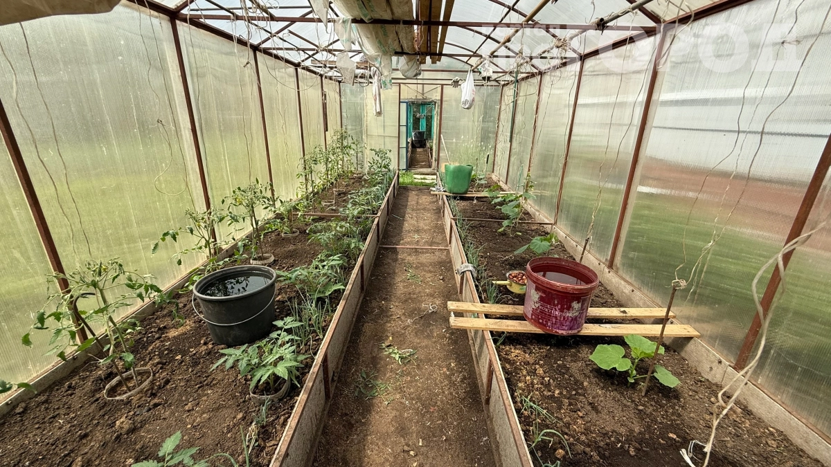 Смертельная угроза на даче: врач раскрыла, как не подхватить опасную болезнь от мышей