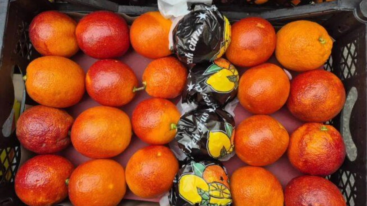 В порту Туапсе нашли живых личинок карантинной мухи в 12 тоннах мандаринов из Турции