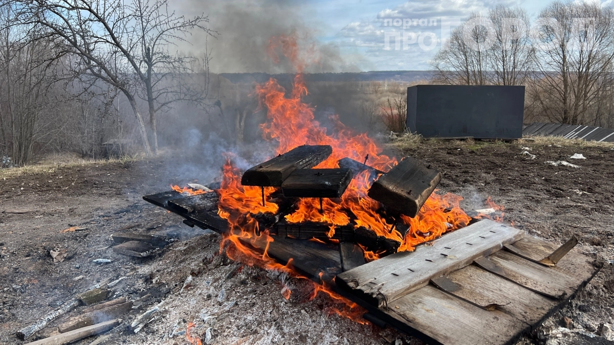 Дрова за ноль рублей: как я перестал платить за отопление бани и беру их у управляющей компани