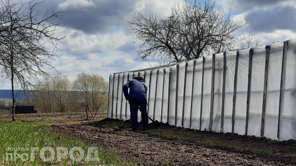 Поликарбонат желтеет и разваливается: почему новый материал побеждает с разгромным счётом — подробности внутри
