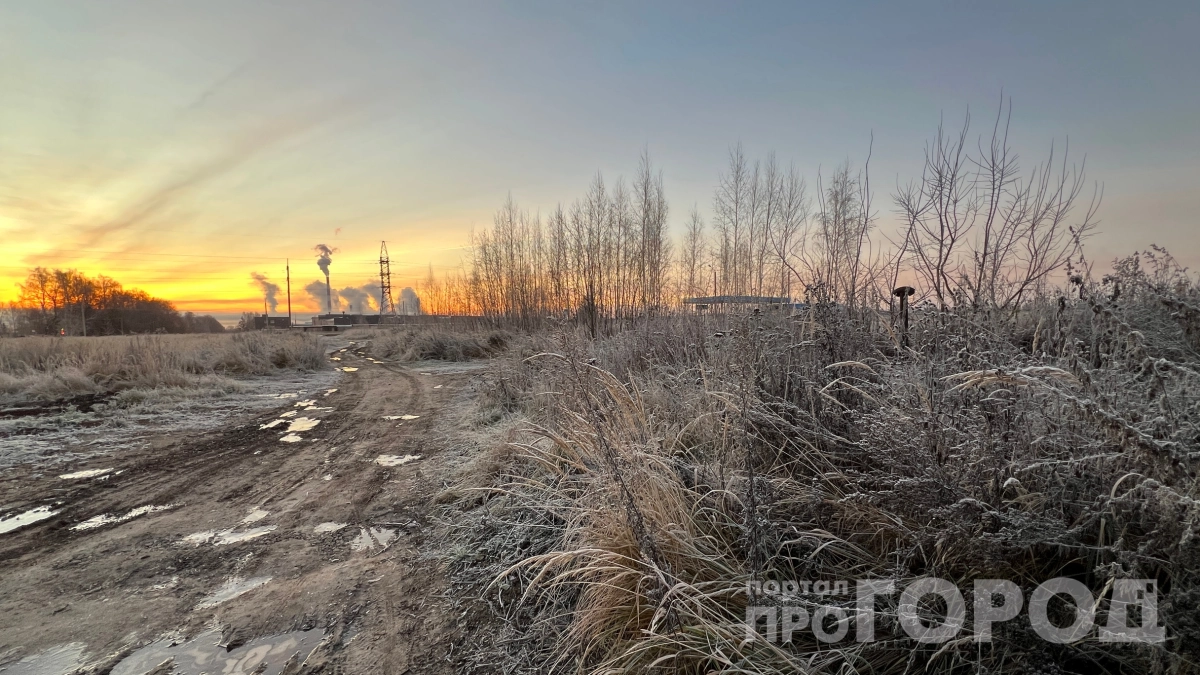 Майские заморозки на пороге: учёный предупредил о холодах в России — когда ждать и как подготовиться