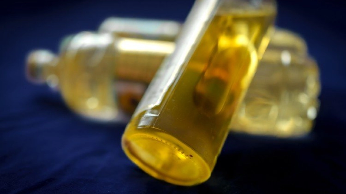 Экспорт соевого масла из портов Кубани вырос в пять раз за квартал