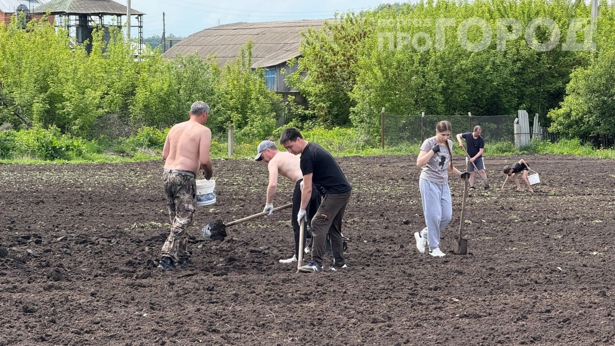 Сажать картошку по календарю — ошибка: вот 5 природных знаков, которые важнее прогноза погоды