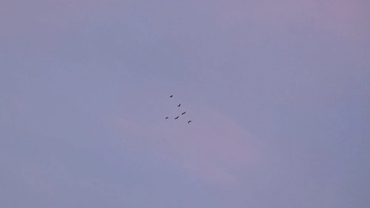 Обломки БПЛА перекрыли дорогу между Полтавской и Трудобеликовским на Кубани