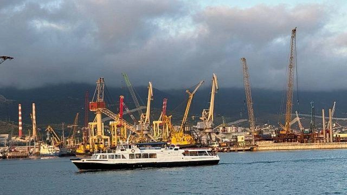 Новороссийск возобновил экспорт нефти после атаки дронов — работает один причал