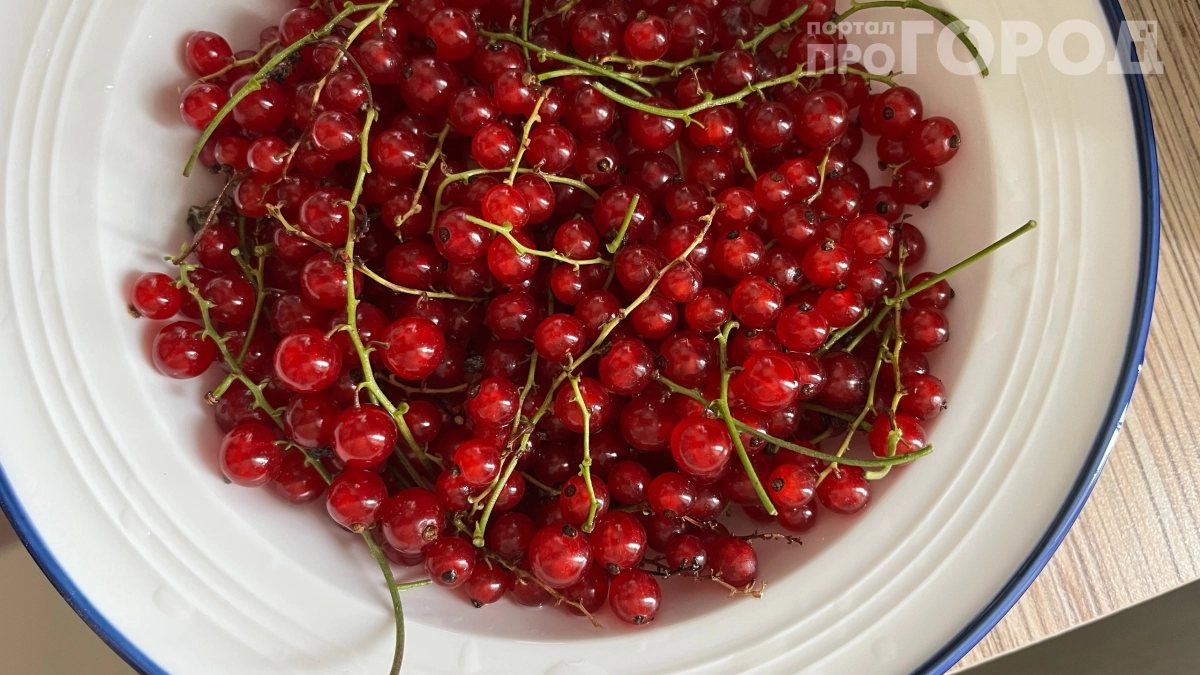 Поливаю кусты содой и забываю о вредителях: как копеечное средство спасло урожай смородины — секреты садоводов