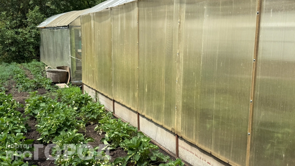 Избегайте этих 5 стройматериалов: они обещают вечность, а дают проблемы