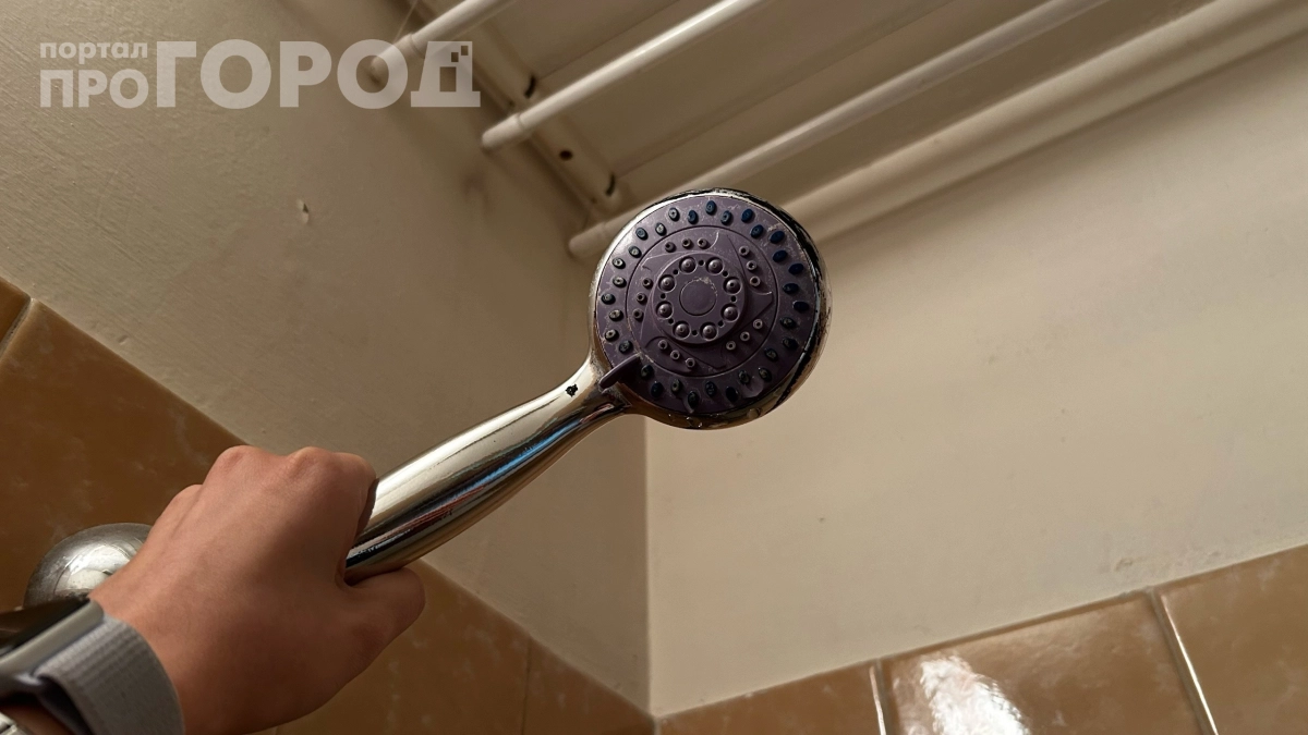 Залила шампунь в душевую лейку и ужаснулась: из всех дырок полилась грязь — а мы ведь моемся этим каждый день