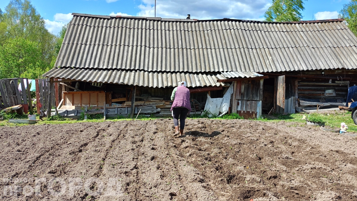 Пасха прошла — пора в огород: когда начинать работы, чтобы не навлечь беду и собрать богатый урожай