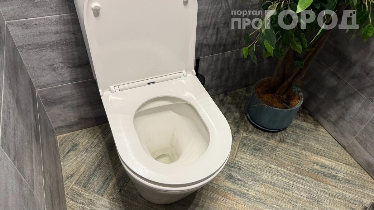 Лью масло в унитаз и решаю сразу несколько проблем: опытные хозяйки знают об этом секретном приеме — но есть подвох