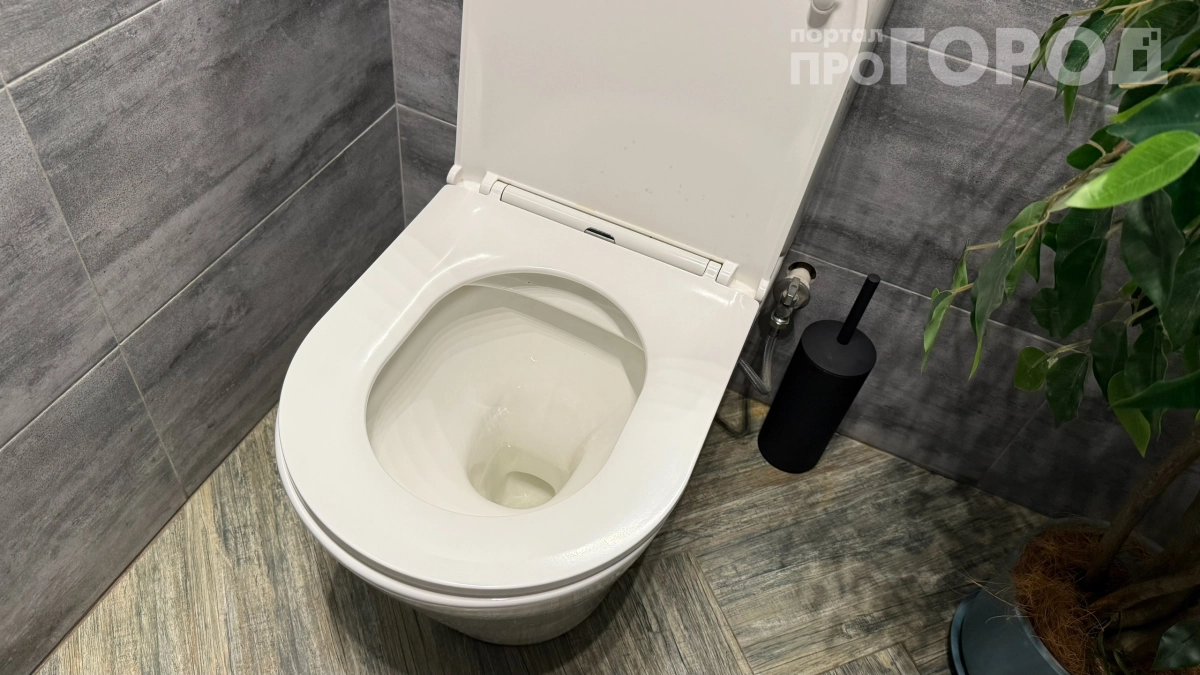 Насыпал 3 пакетика лимонной кислоты в бачок унитаза — через 2 часа результат поразил даже сантехника