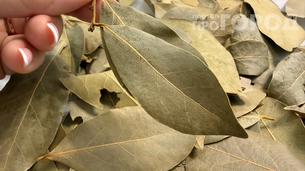 Положите лаврушку в ванну, а не только в суп: 4 способа использовать специю с пользой для здоровья