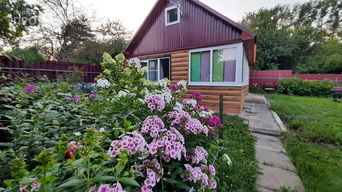 Соседи дышат химией, а я жгу трутовик на веранде: комары облетают участок за версту — проверено