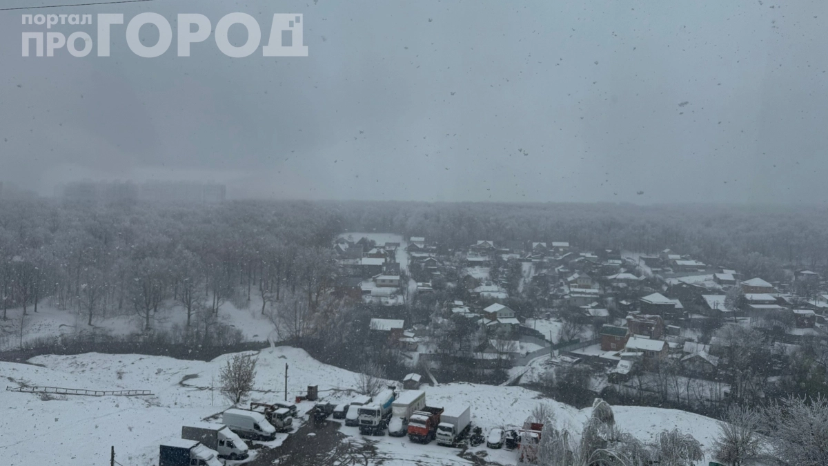 Не высаживайте рассаду до мая: все начнется уже сегодня — синоптики предупредили о длительном периоде заморозков и дождей