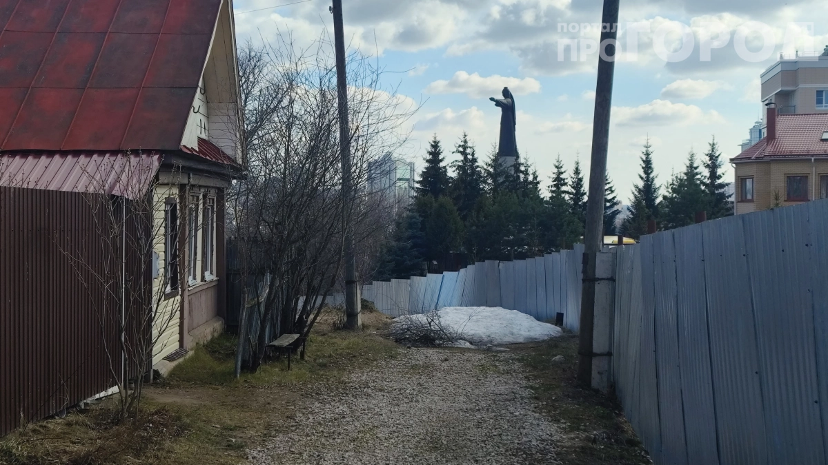 Земля больше не ваша: сотни дачников рискуют лишиться участков — что скрывает программа 