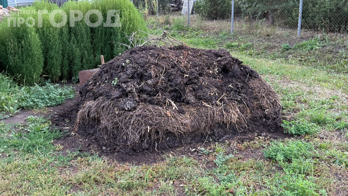 Три продукта с праздничного стола, которые испортят ваш компост: ещё в СССР знали об этой опасности — проверьте