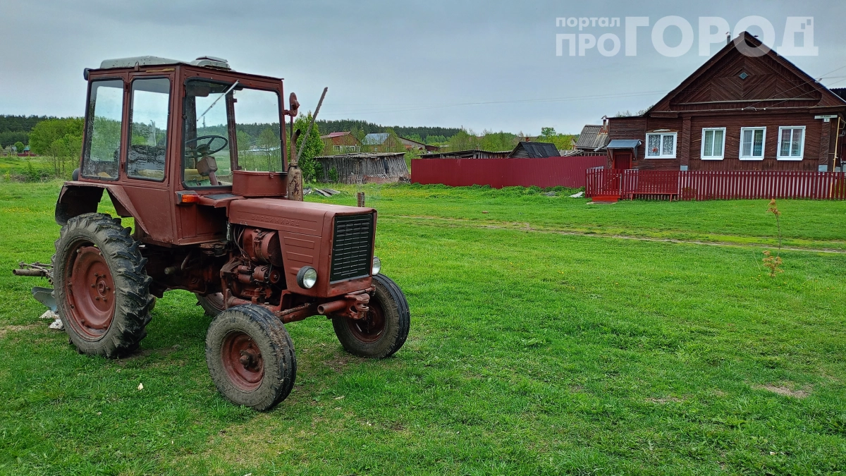Штраф за сорняки — ловушка: как аферисты взламывают аккаунты на „Госуслугах“ через дачные уведомления