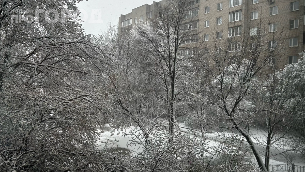 15–30 см снега в конце апреля: синоптики предупредили о снежном шторме — вот когда ждать аномалии